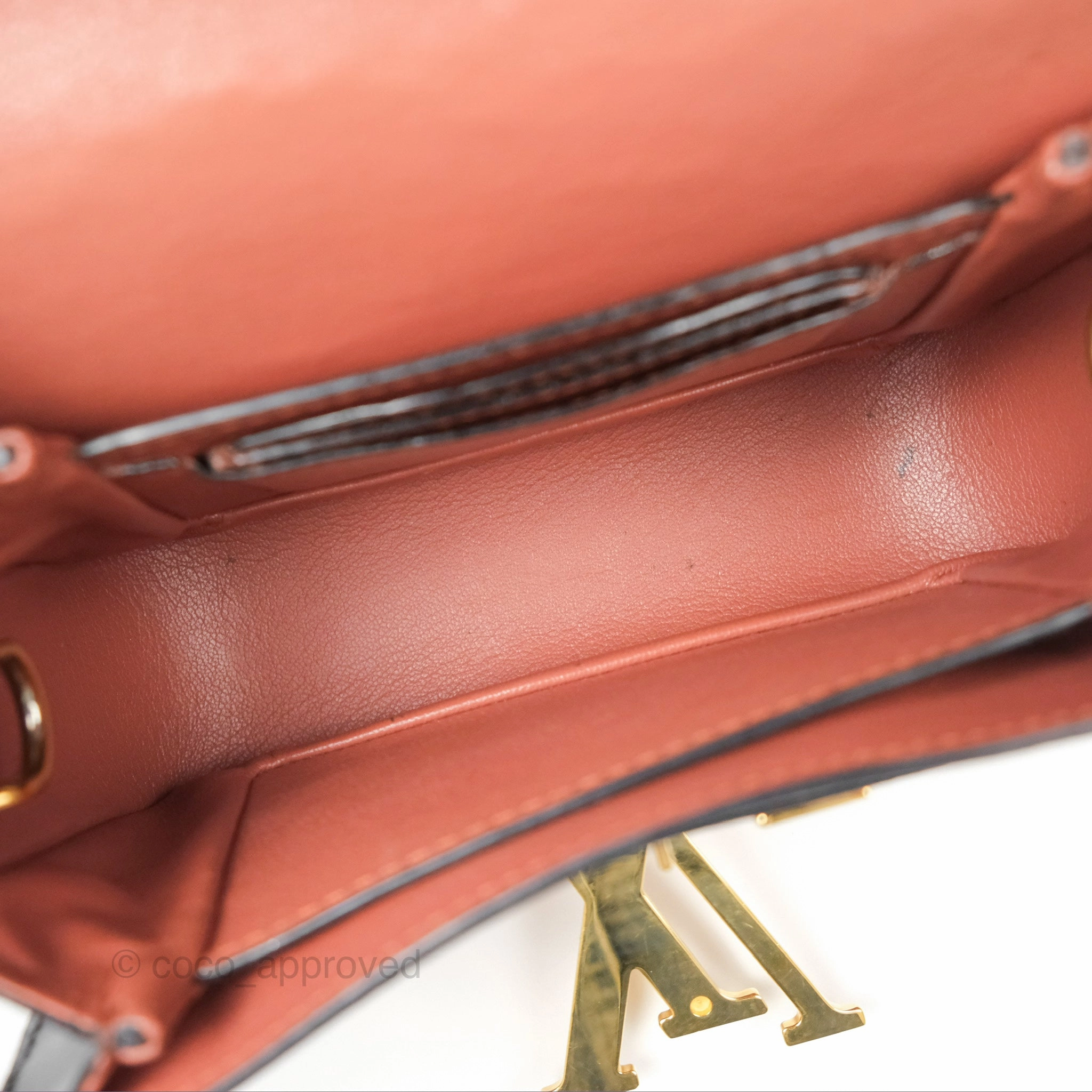 Louis Vuitton Vivienne Bag Brick Red Black