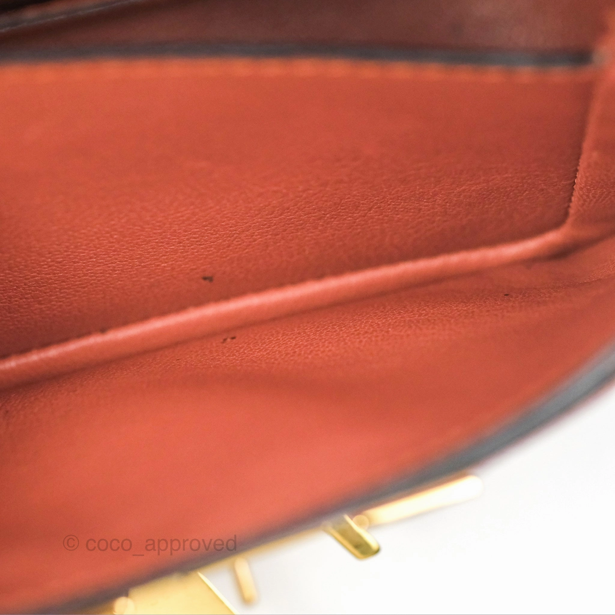 Louis Vuitton Vivienne Bag Brick Red Black