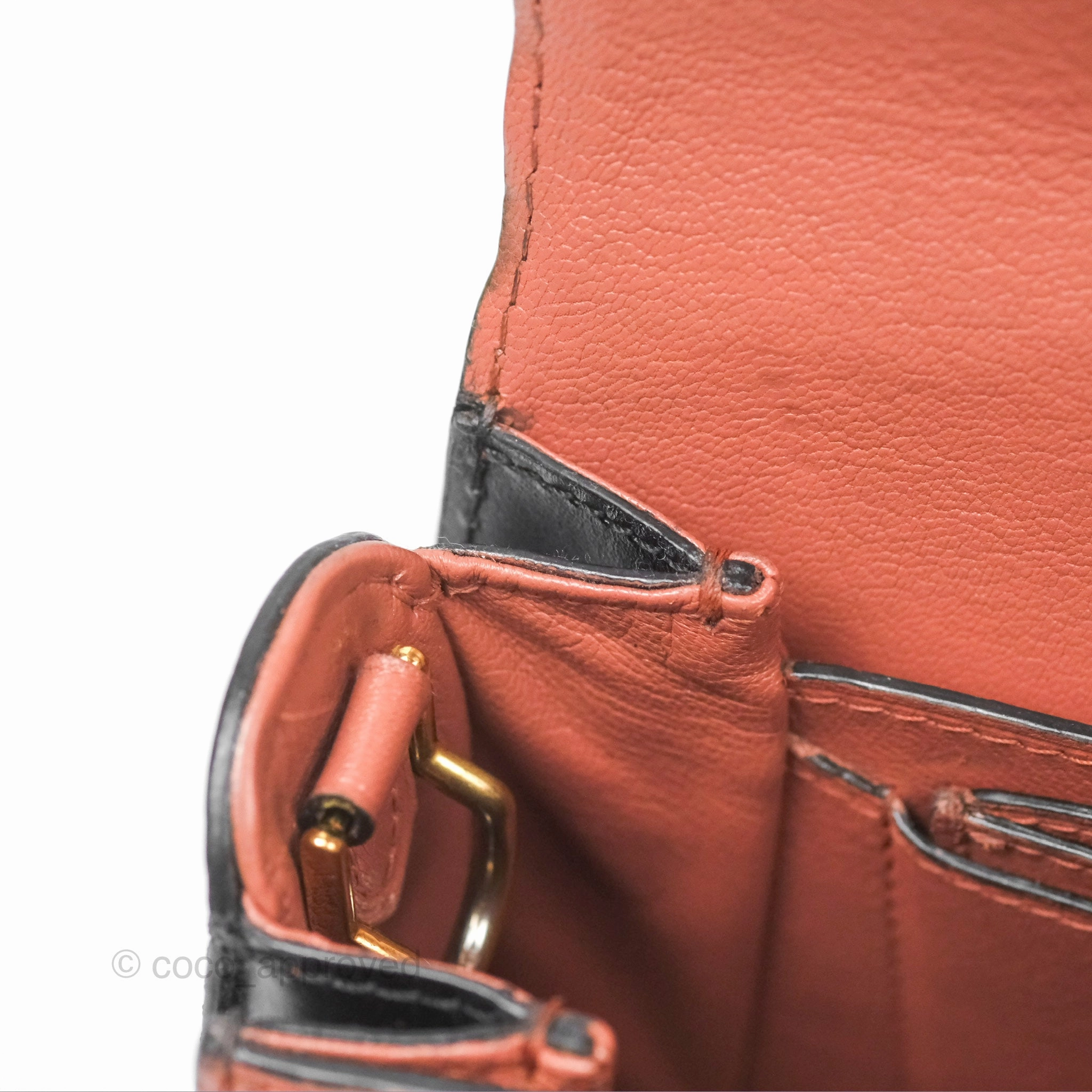 Louis Vuitton Vivienne Bag Brick Red Black