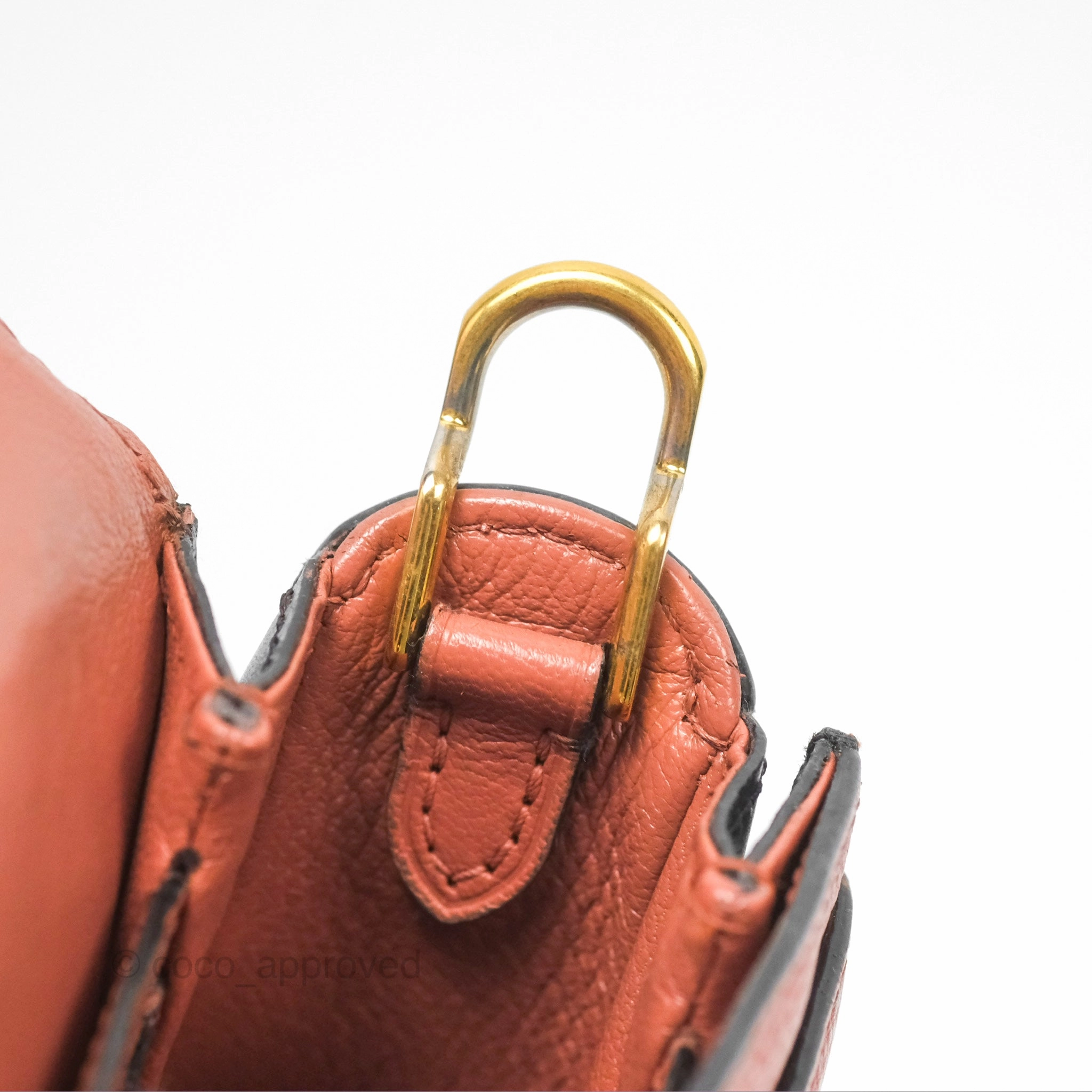 Louis Vuitton Vivienne Bag Brick Red Black