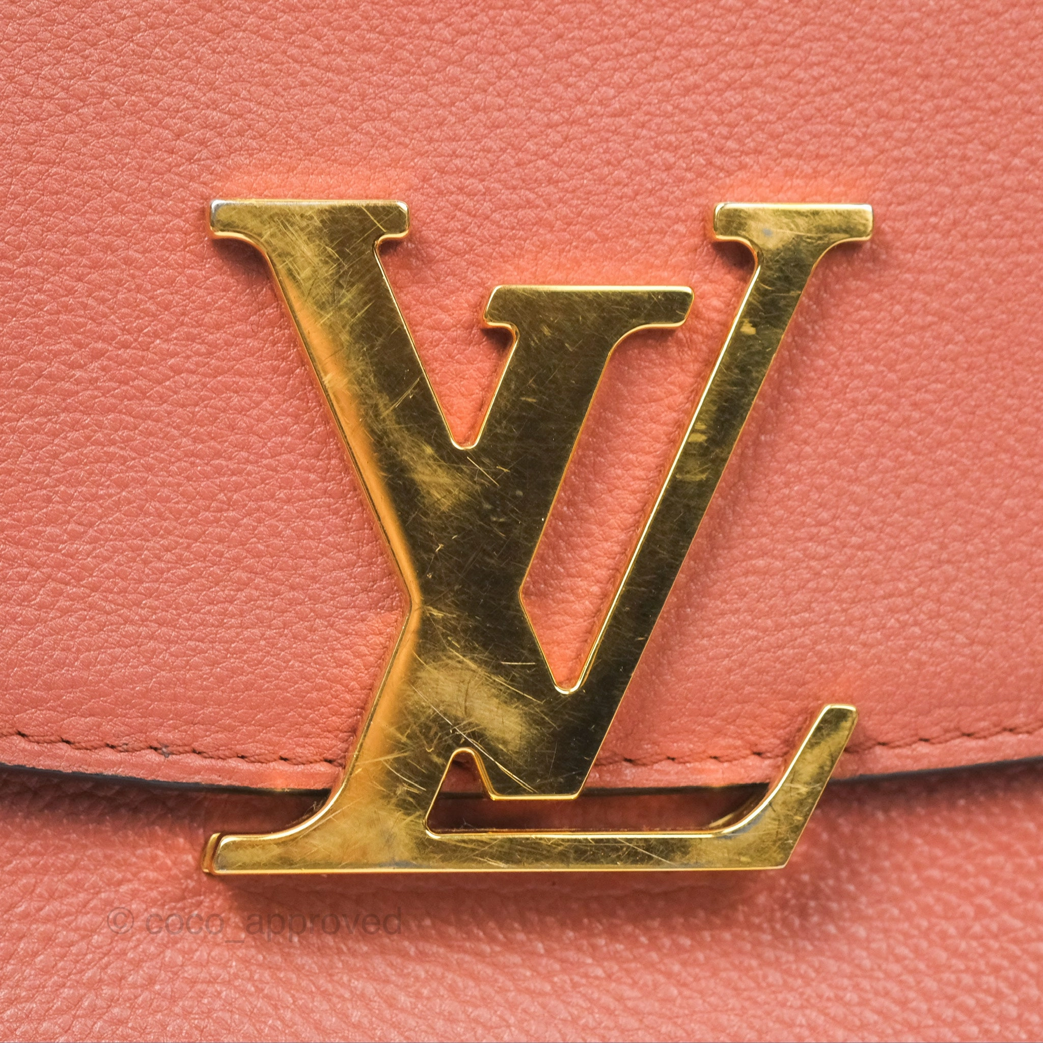 Louis Vuitton Vivienne Bag Brick Red Black