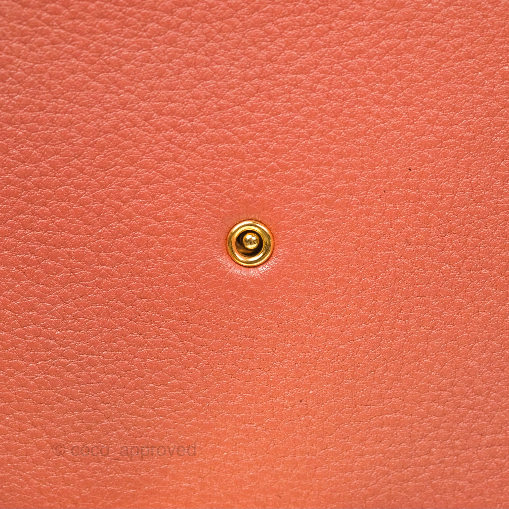 Louis Vuitton Vivienne Bag Brick Red Black