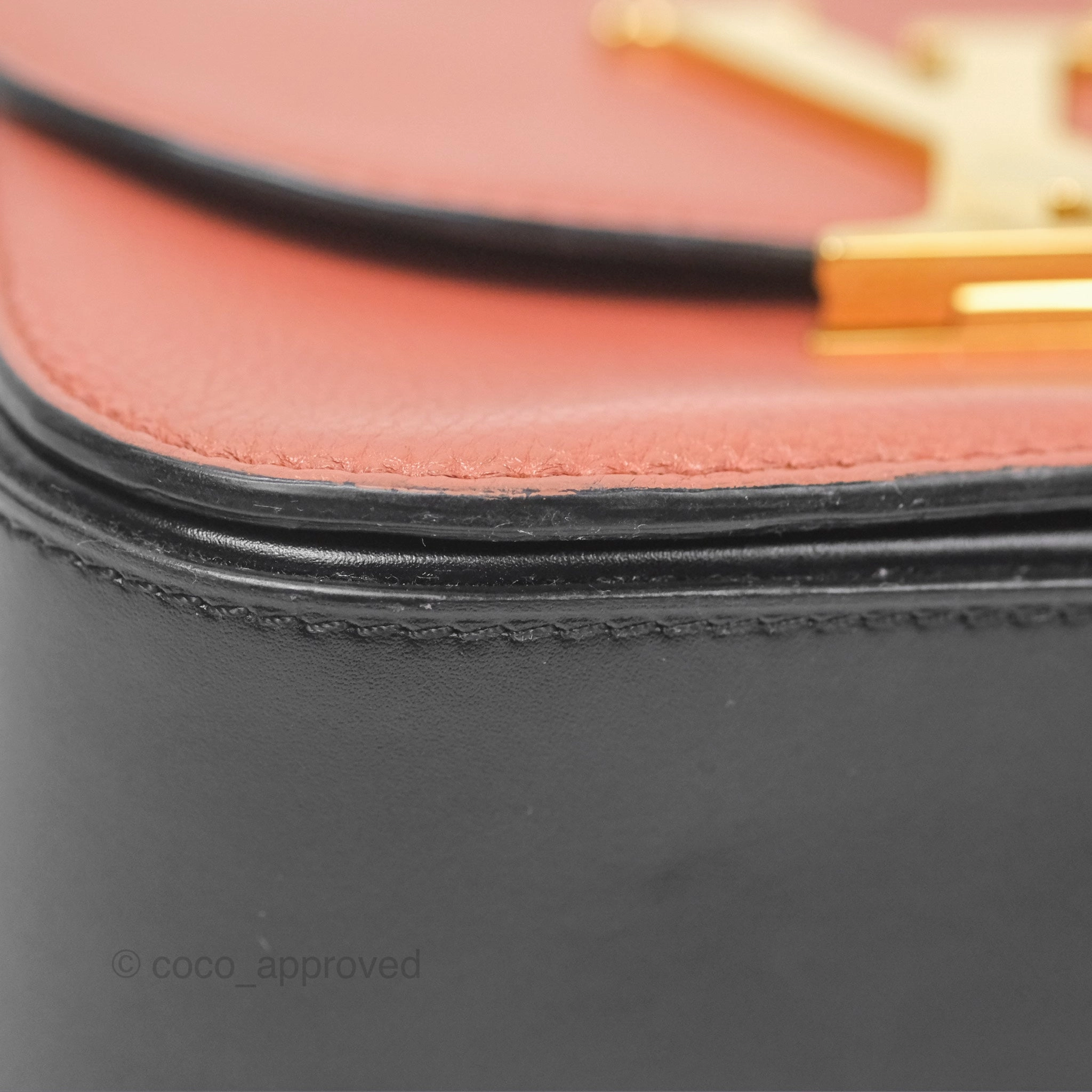 Louis Vuitton Vivienne Bag Brick Red Black