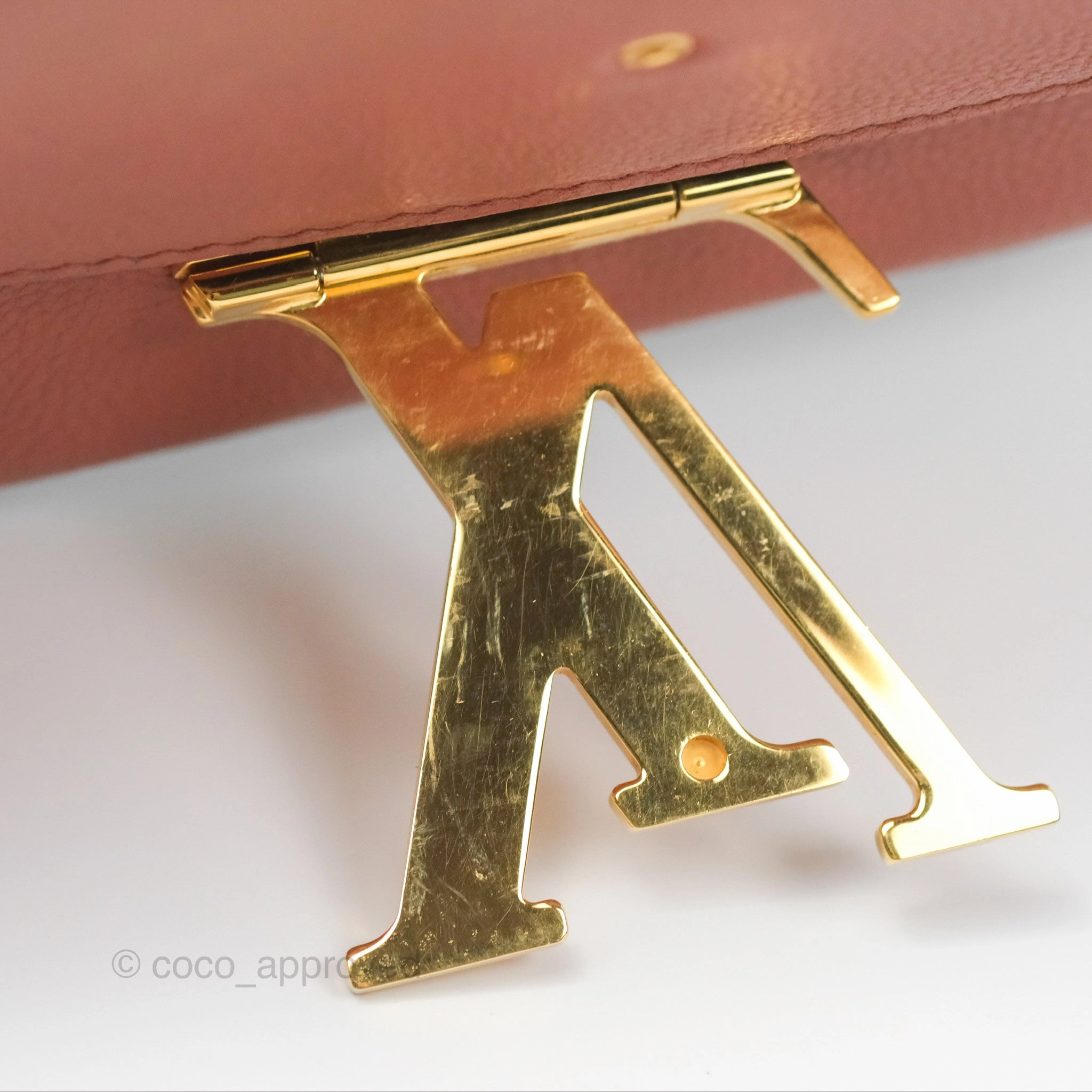 Louis Vuitton Vivienne Bag Brick Red Black