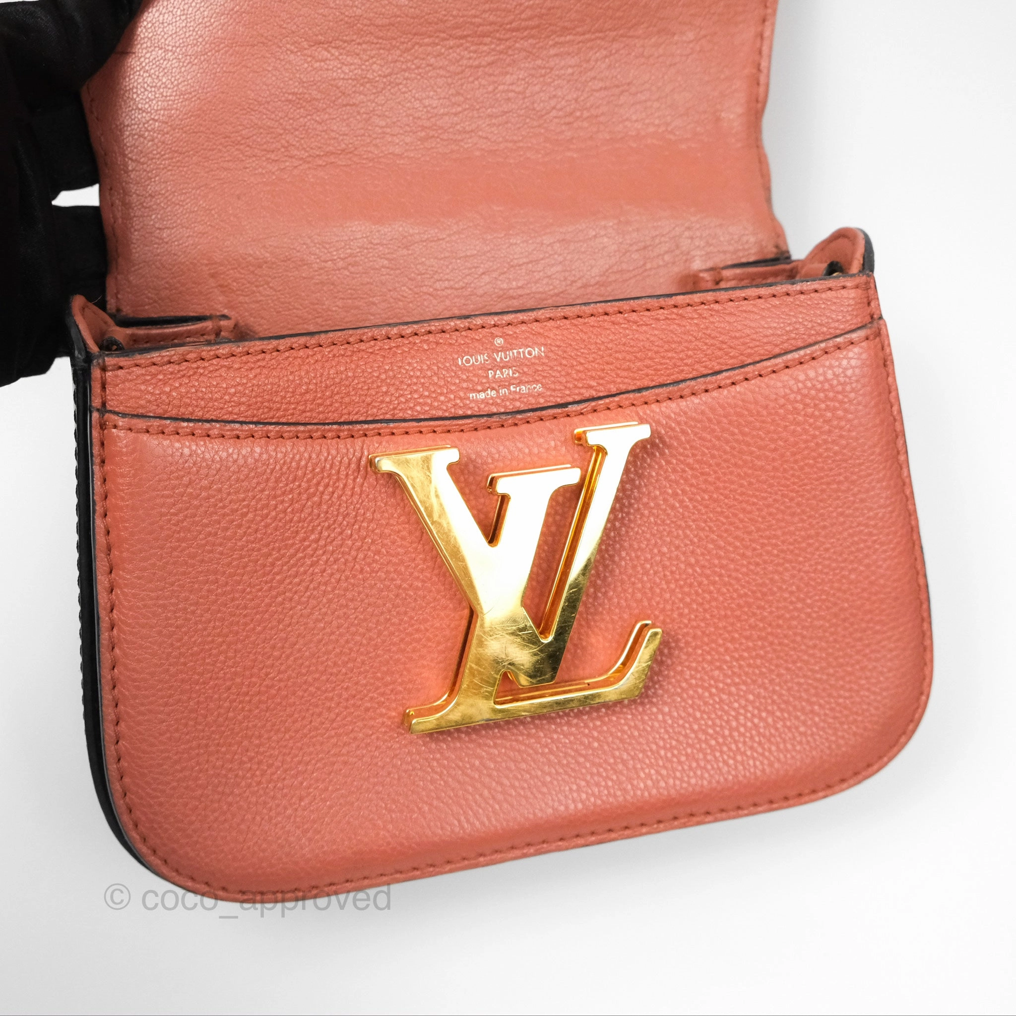 Louis Vuitton Vivienne Bag Brick Red Black