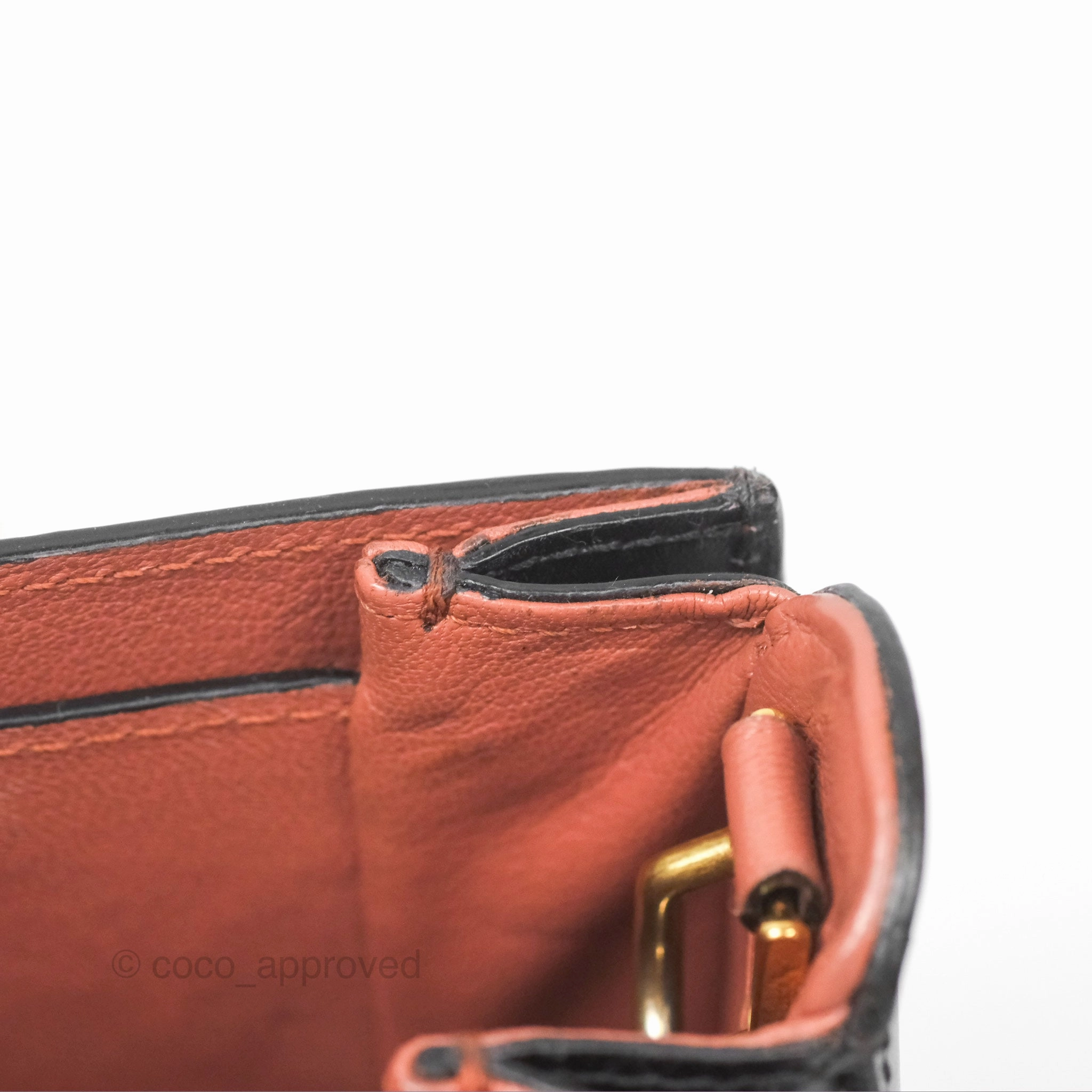 Louis Vuitton Vivienne Bag Brick Red Black