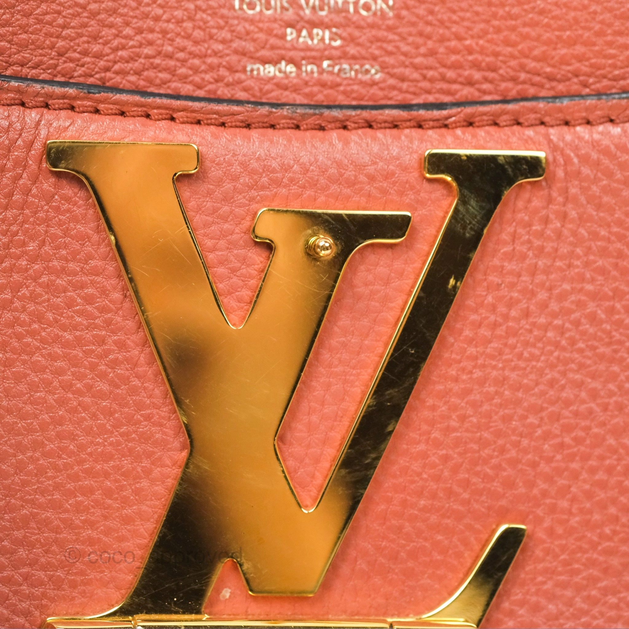 Louis Vuitton Vivienne Bag Brick Red Black