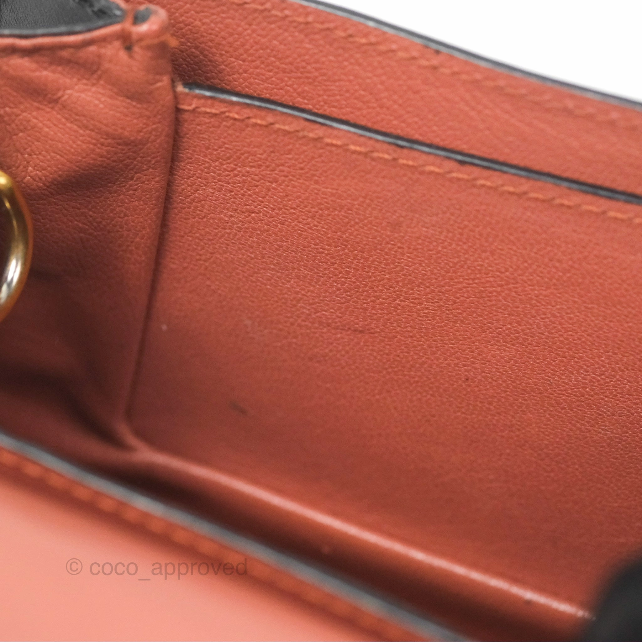Louis Vuitton Vivienne Bag Brick Red Black