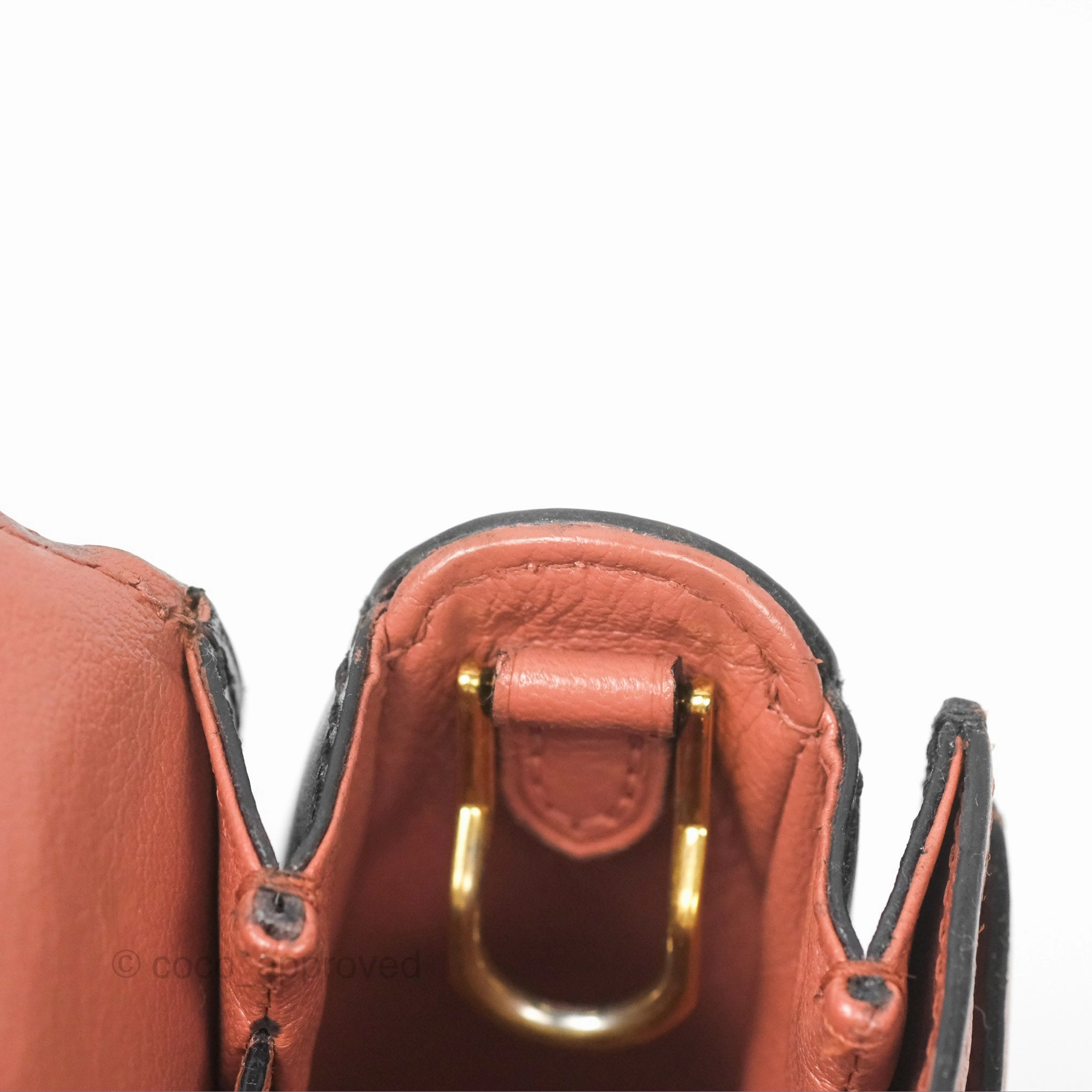Louis Vuitton Vivienne Bag Brick Red Black