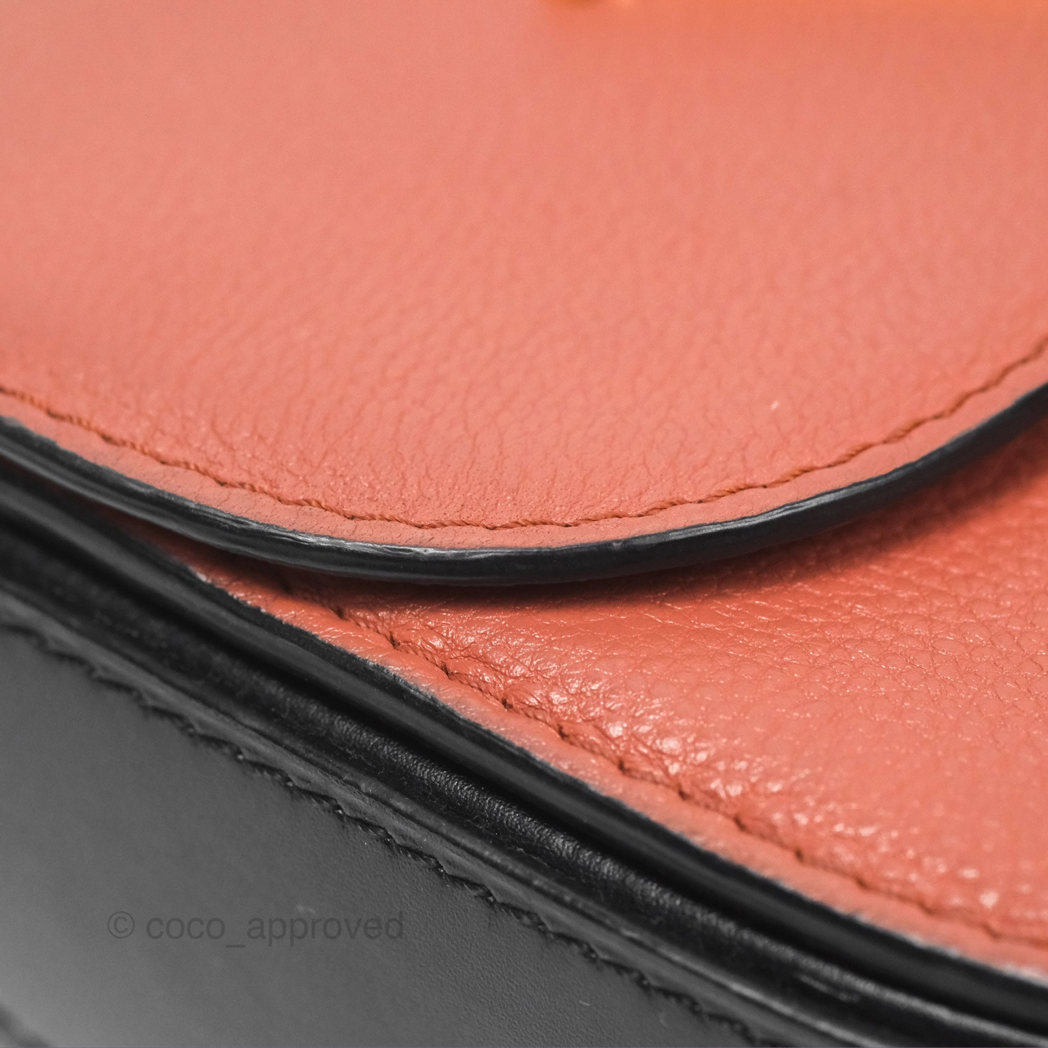 Louis Vuitton Vivienne Bag Brick Red Black
