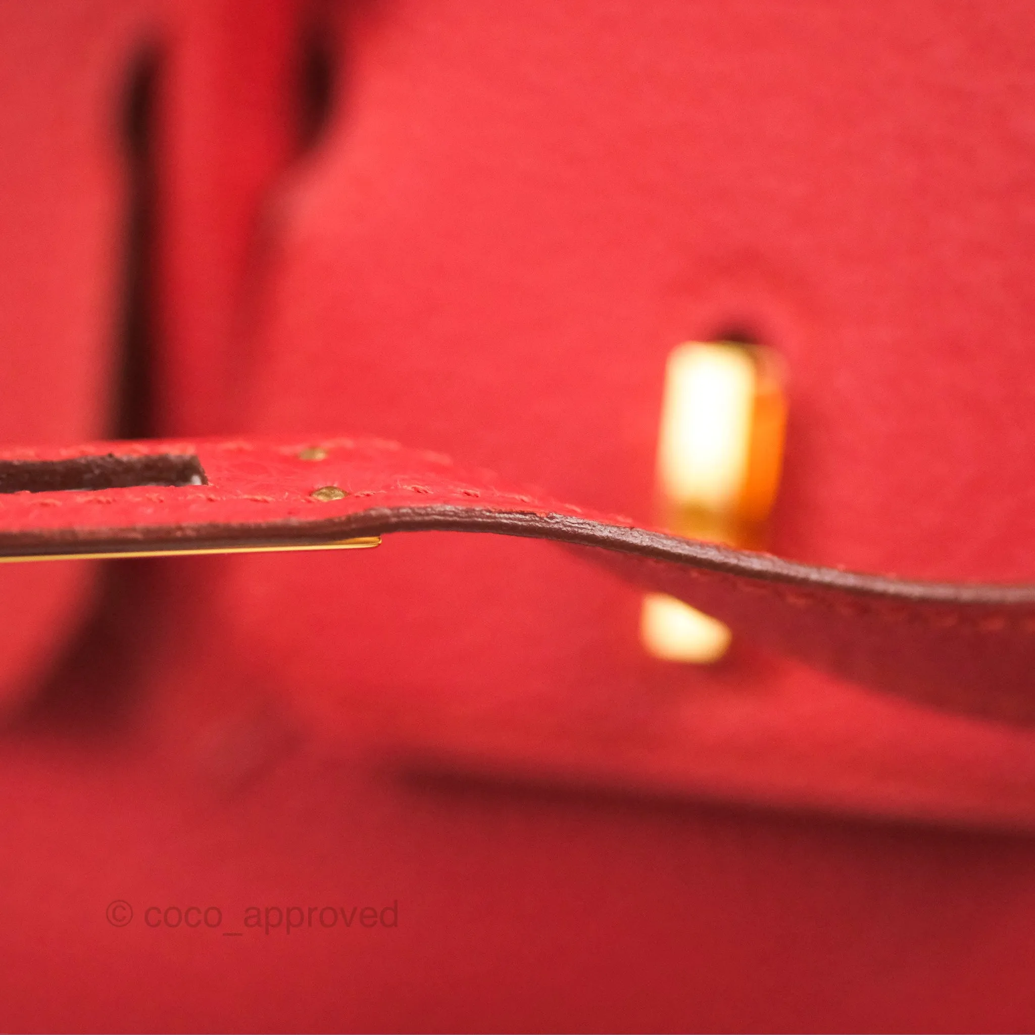 <DM/Email to purchase> Hermes Birkin 25 Togo Rouge Vermillon Gold Hardware